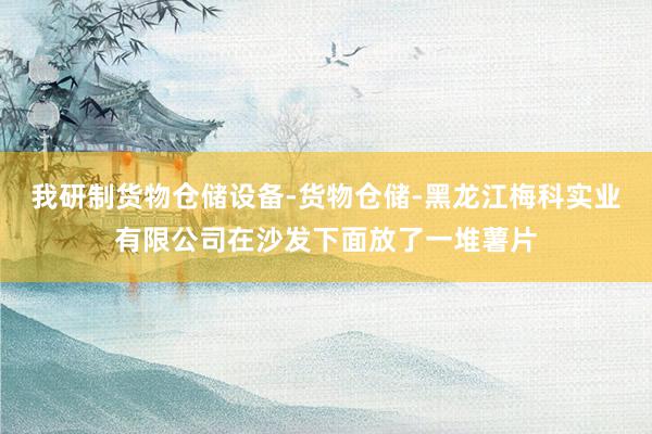 我研制货物仓储设备-货物仓储-黑龙江梅科实业有限公司在沙发下面放了一堆薯片